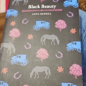 Black Beauty Kids Book